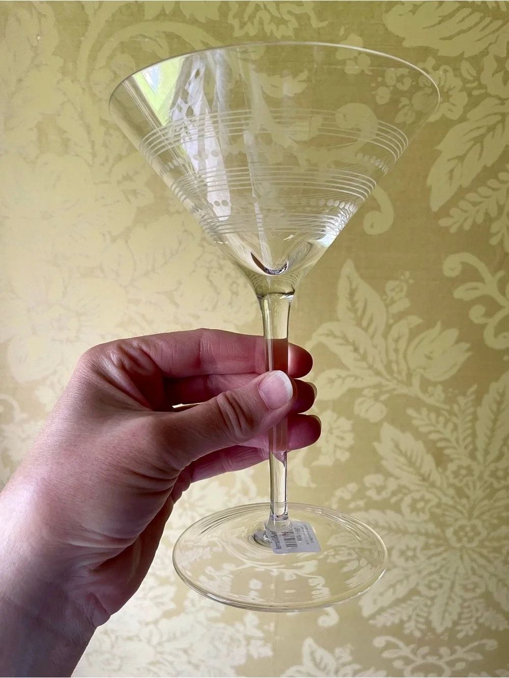 NWT Crate&Barrel Bianca Etched Martini Glasses - Set of 4